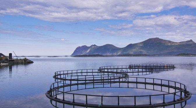 6e salon international de la pêche et de l’aquaculture  L’expérience sud-coréenne mise en avant